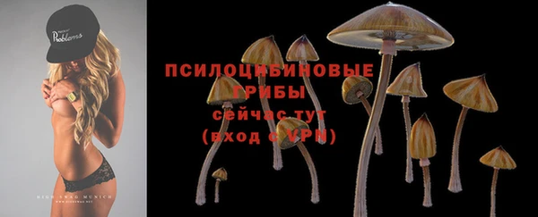 гашик Балахна