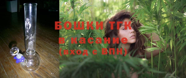 гашик Балахна